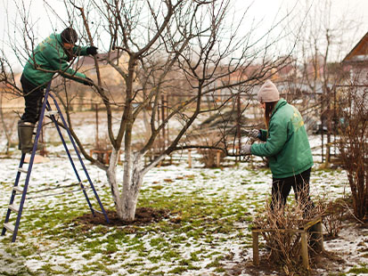 Two people working outdoors during winter