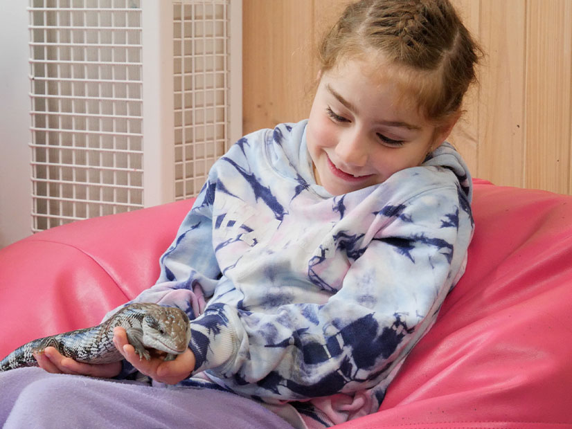 Young girl holding lizard